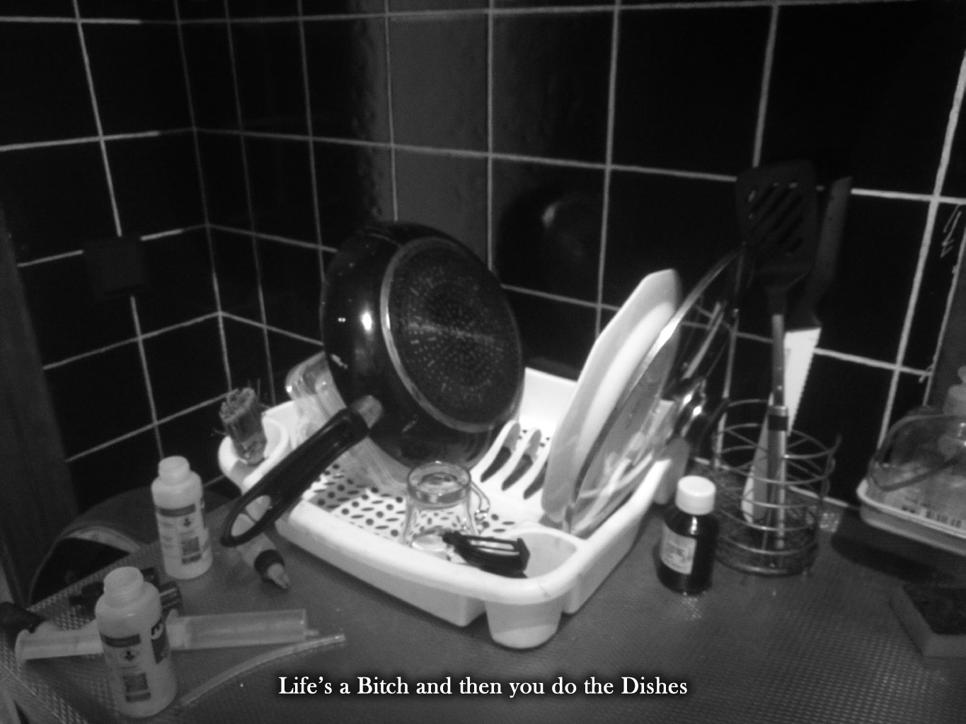 Life’s a Bitch and then you do the Dishes